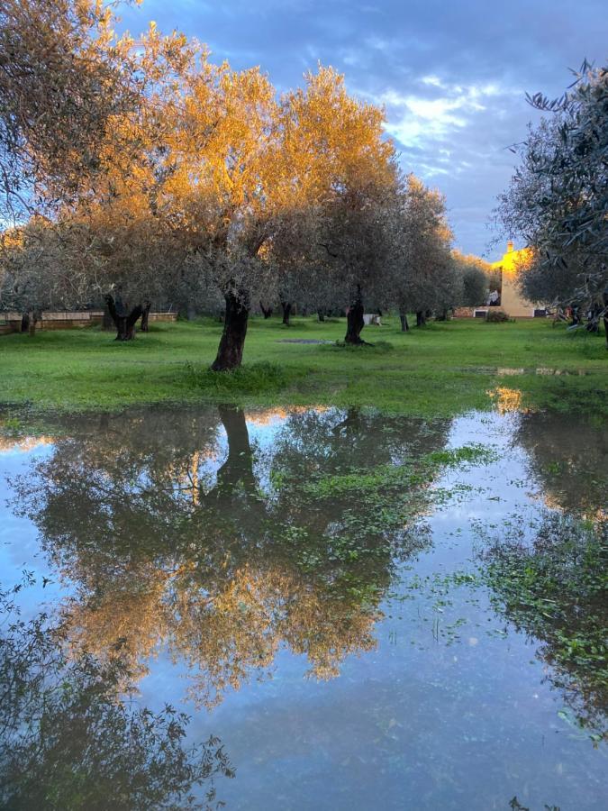 Villa Culla Di Jana Alghero Buitenkant foto